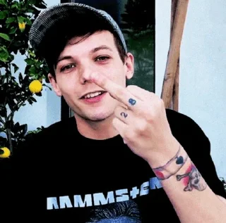 🖕 emoji Sara's mood ( @SasaHoran ) Telegram sticker 24 of 67