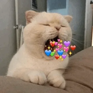 🤎 emoji kitten💕 @nymphett Telegram sticker 20 of 68