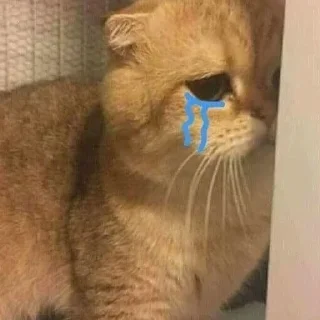 😢 emoji Memes Pack Vol1 Telegram sticker 11 of 59