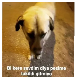 😄 Edosum dur, стикер Telegram 17 из 38