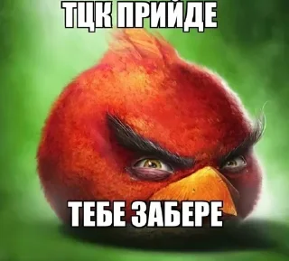 🙈 Опездол іванович, стікер Telegram 13 з 32