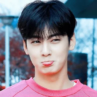 Cha Eun Woo