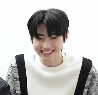 🐼 Sunghoon <3, стікер Telegram 17 з 27