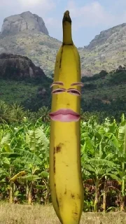 🍌 бананы форевер., Telegram sticker 12 of 25