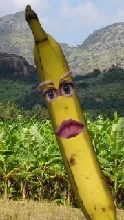 🍌 бананы форевер., Telegram sticker 10 of 25