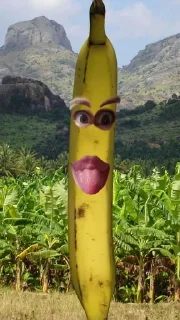 🍌 бананы форевер., Telegram sticker 7 of 25
