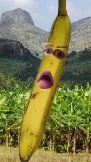 🍌 бананы форевер., Telegram sticker 5 of 25