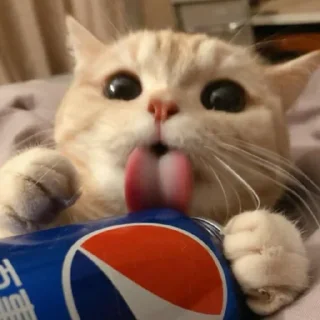 🤗 мега коты owner by empretova тгк @empretova, стікер Telegram 14 з 113