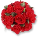 🌹 گلچین مذهبی str313@, Telegram sticker 17 of 63