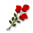 🌹 گلچین مذهبی str313@, Telegram sticker 14 of 63