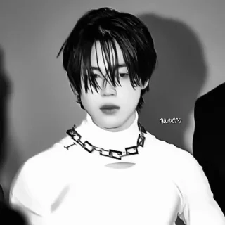 🌟 Park Jimin, стикер Telegram 20 из 38