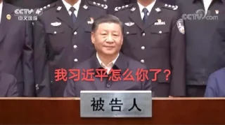 😘 支那🐷专属, стикер Telegram 11 из 22