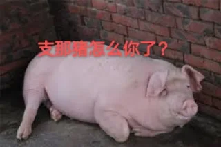 😆 支那🐷专属, стикер Telegram 5 из 22