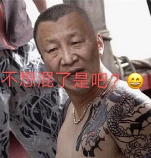 🐷 支那🐷专属, стикер Telegram 8 из 22