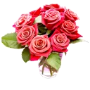 🌷 @word16 ورود 🌹, стікер Telegram 4 з 116
