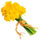 🌻 @word16 ورود 🌹, стікер Telegram 12 з 116