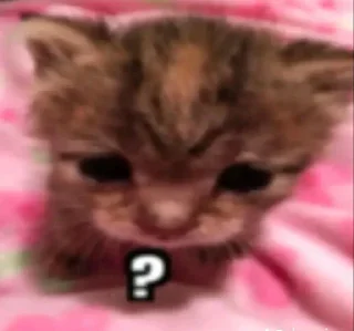 ❔ Mentally eel, стікер Telegram 18 з 120