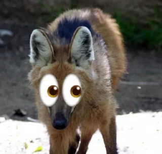 👀 Leggy Googly Eyes @Miomiya, sticker Telegram 22 sur 63