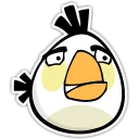 💪 Angry Birds - S4T.tv, стикер Telegram 6 из 13
