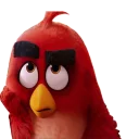 🙄 Angry Birds, sticker Telegram 6 sur 62