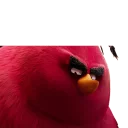 😒 Angry Birds, sticker Telegram 22 sur 62