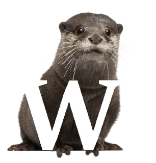 🧤 Otterly ridiculous, Telegram sticker 23 of 27