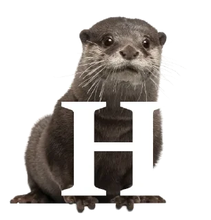 🐂 Otterly ridiculous, Telegram sticker 8 of 27