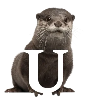 💫 Otterly ridiculous, Telegram sticker 21 of 27