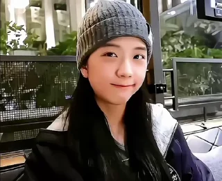 🥢 Vlog Jisoo . @BlackpinkStickers, sticker Telegram 23 sur 28