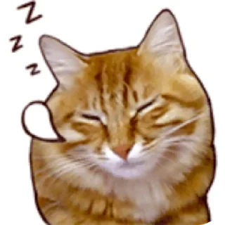 🐱 ₊˚ ໑ 🌷 : @sparklingwater02 @Danidpro21, стікер Telegram 13 з 120