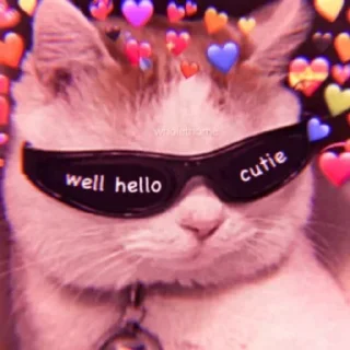 💓 ꒰ ˃̶̤́ ꒳ ˂̶̤̀ ꒱·◌*.♡ @riokyu, sticker Telegram 18 sur 72