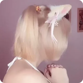 🐱 @SkadiFrozenHeart pack 02, стікер Telegram 15 з 120