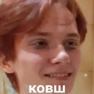 🪣 миньони хаус, стікер Telegram 14 з 30