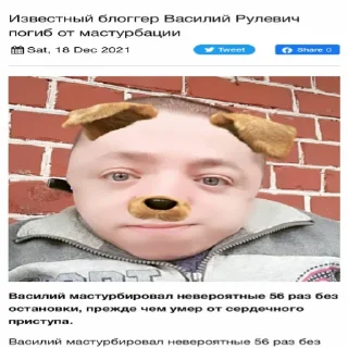 🐕 миньони хаус, стікер Telegram 16 з 30