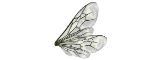 🤍 𝒞ℎ𝑒𝑟𝑟𝑦 ꣑ৎ ℬ𝑒𝑟𝑟𝑦, Telegram sticker 13 of 55