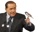 🐝 Berlusconi - S4T.tv, Telegram sticker 6 of 10
