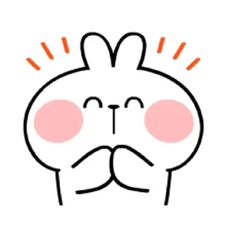 @spoiledrabbits