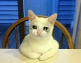 😭 Retarded looking crying emoji 2: return of the duck, стікер Telegram 20 з 120