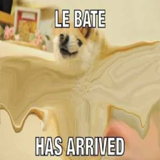 doge
