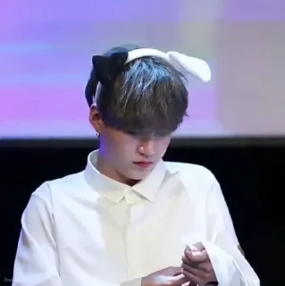 🗽 ‌         ‌@zeusgifs  ’  kitcat, стікер Telegram 6 з 25