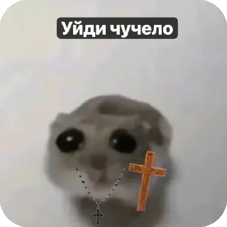 😅 Хомячки 🤍, Telegram sticker 18 of 18
