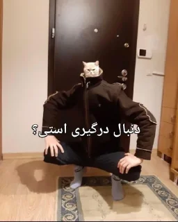😼 شومبولستانیان اهل امپراتوری خر روانی, стікер Telegram 1 з 106