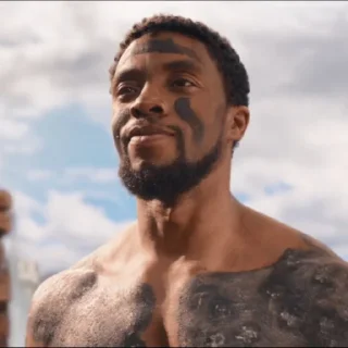 Black Panther @NotAClue