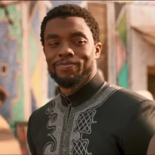 🐆 Black Panther @NotAClue, Telegram sticker 9 of 120