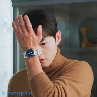 🤦‍♀ Vincenzo, Telegram sticker 18 of 46