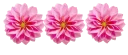 🌹 فواصل 🌷🌷🌷🌷, стикер Telegram 13 из 63