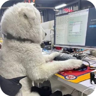 🐶 楚云飞的吗？::@chuyunfeiTG, стікер Telegram 19 з 111