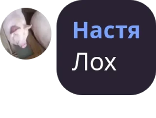 😂 Vерховна Рада УкрАїни✌️🎈, Telegram sticker 8 of 17