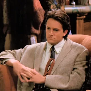 🤨 Friends [S1-S5] | @DL_Pack, стикер Telegram 14 из 120