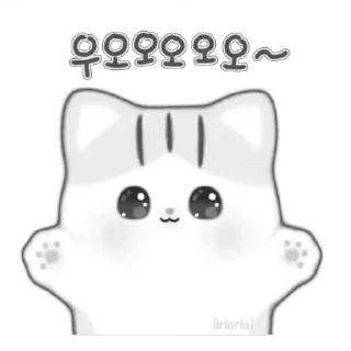 🐱 ♡︎ meow ♡︎ @liriorial, Telegram sticker 12 of 24
